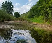 "Naufrage" du Danube à Immendingen.