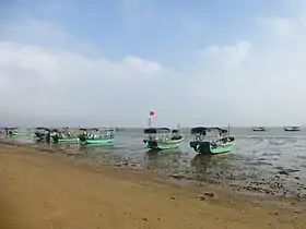 Dans le côte sur d'île Donghai