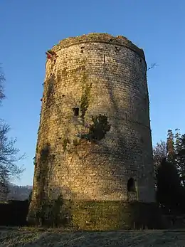 Château de Lillebonne