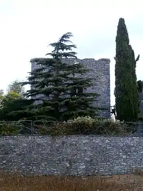 Donjon de Cigogné