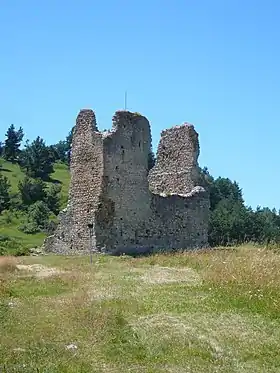 Image illustrative de l’article Château de Montaillou