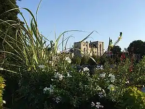 Le Donjon de Niort