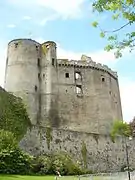 Le logis seigneurial et les tours donjon.