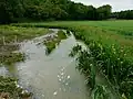 La Donzelle à Bussac au moulin de Pontey