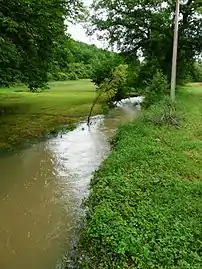 La Donzelle au moulin de Saute Mouton.