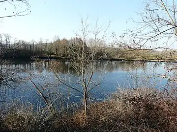 La Dordogne à Baneuil avec vue sur « le Port de Lanquais », commune de Varennes, en rive opposée.