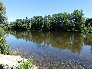 La Dordogne au sud du bourg de Calviac-en-Périgord. À cet endroit, les deux rives font partie du territoire communal.