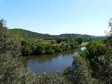 La Dordogne à Carsac-Aillac.