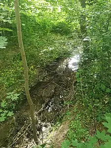 Dorfgraben en forêt de Gougenheim