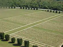 Vue aérienne de cimetières militaires à Douaumont.
