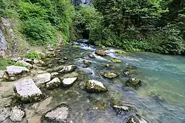 La source du Doubs