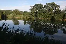 Le Doubs à Villars-Saint-Georges.