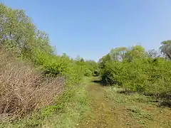 Le chemin d'accès vers le puits.