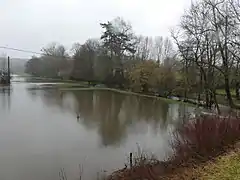 La Doue en crue, 500 mètres avant sa confluence avec le Bandiat.