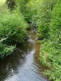 La Doue au pont de la RD 3.