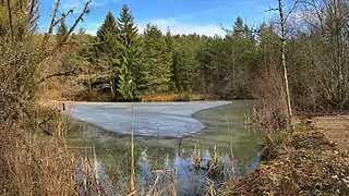 L'étang gelé.