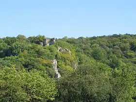 Les ruines du château de Hauteroche.