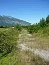 Vue à Doussard de l'ancienne ligne d'Annecy à Albertville.