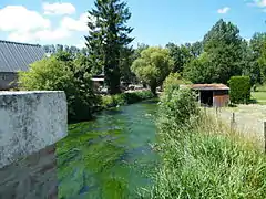 Amont de la rivière Eaulne, pris du pont.