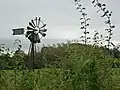 Petite éolienne dans les champs.