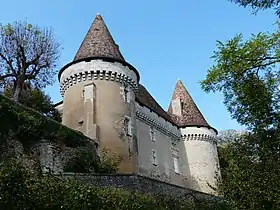Image illustrative de l’article Château de Mauriac (Douzillac)