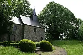 Tilleul commun remarquable de Doyon (Belgique).