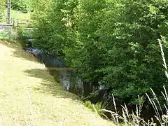 La Dozanne à Saint-Fréjoux.