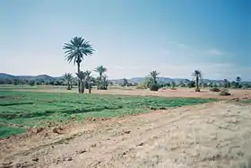 Image illustrative de l’article Réserve de biosphère des oasis du Sud marocain
