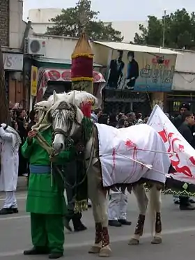 Cheval arabe persan gris lors d'un défilé à Nishapur