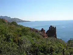 Flanc sud-est du Dramont et baie d'Agay