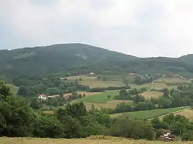 Drenova (Gornji Milanovac)