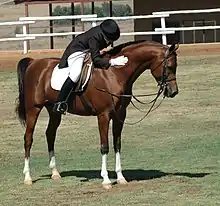 Une cavalière flattant son cheval, sur lequel elle se penche.