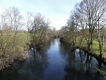 La Dronne en limite de Comberanche-et-Épeluche (à gauche) et Bourg-du-Bost (en rive opposée).