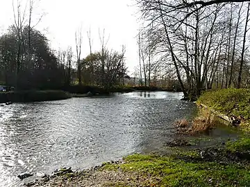 La Dronne près de Salles.