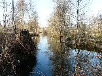 En aval du moulin de Papalis, la Dronne marque la limite entre Ribérac (à gauche) et Allemans.