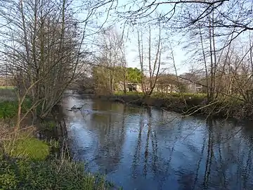 La Dronne au lieu-dit les Rivières entre Saint-Victor (au premier plan) et Tocane-Saint-Apre (en rive opposée).