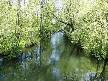 L'attier (bras secondaire) de la Dronne au pont de la RD 708.