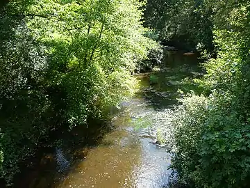 La Dronne au pont de la RD 77.