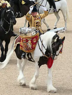 Drum Horse de la Household Cavalry en 2007
