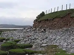 Drumlin érodé par la mer, près de Lancaster (Angleterre).