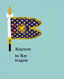 Image illustrative de l’article Régiment des Dragons du Roi