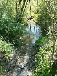 La Duche au pont de la RD 730.