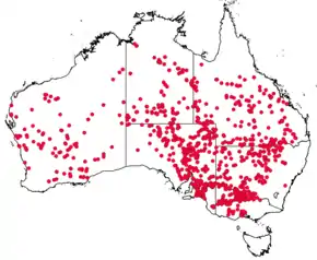 Description de l'image Duma florulenta distribution map.png.