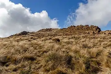 Photographie d'un sommet de moyenne montagne couvert d'une herbe rase.