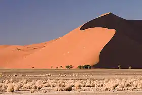 Vue de la dune depuis la route