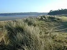 Dunes de Bon Abri