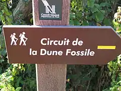 Circuit de Dune Fossile