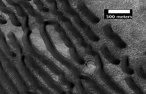 Champ de dunes vu par l'instrument HiRISE de MRO par 42,7° S et 38,0° E.
