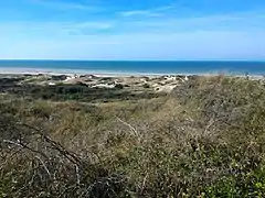 Vue des dunes et de la Manche.