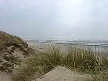 Dunes au sud de la plage.